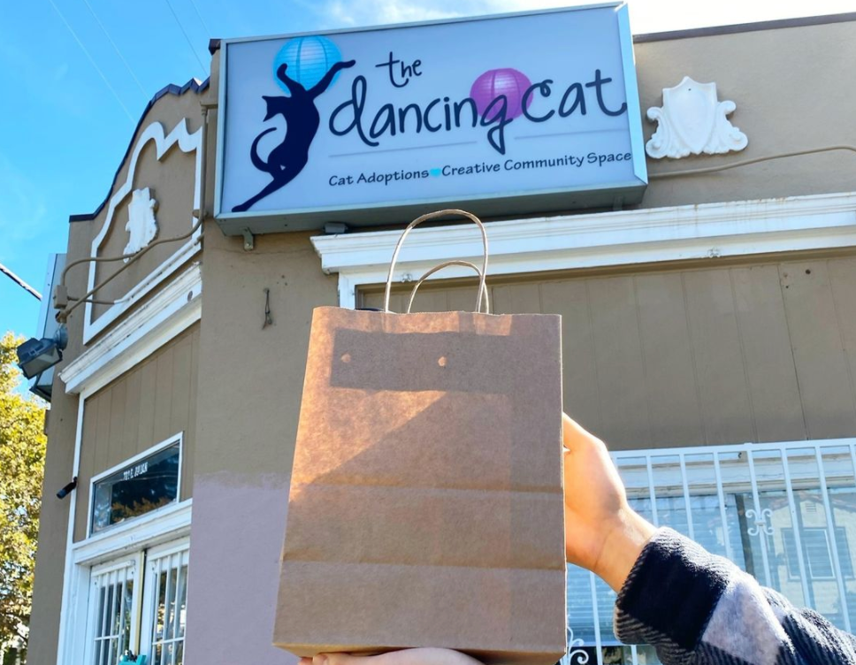 Supporting Local Cat Shelters and Non-Profits